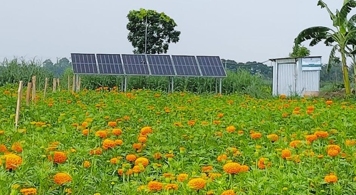 Solar power reduces irrigation cost in Jhenaidah